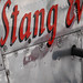 Michael Stang Photo 14