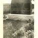 Carole Graves Photo 8
