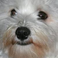 Robin Stears Photo 11