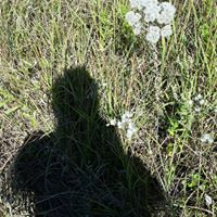 Matthew Epstein Photo 36