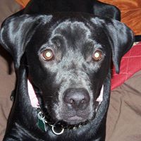 Carol Kellar Photo 8