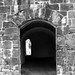 Sally Wall Photo 14