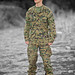 Gary Hoff Photo 10