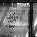 Sylvia Boyce Photo 3