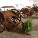Dolores Brown Photo 9