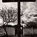 Jose Freitas Photo 2