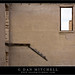 Mitchell Walls Photo 10
