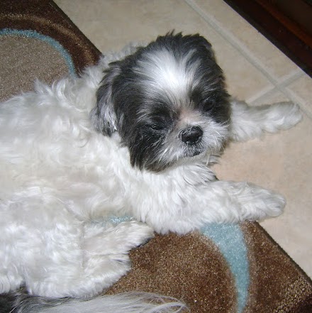 Pennie Dannic Photo 5