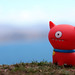 David Staffins Photo 8