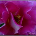 Ruth Hablas Photo 10