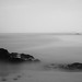 Misty Johnston Photo 7