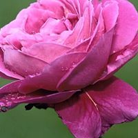 Mukesh Patel Photo 18