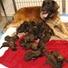 Mary Leonberger Photo 2