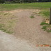 Dolores Brown Photo 6
