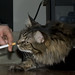 Joy Farnsworth Photo 2