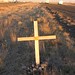 Lee Carlson Photo 16