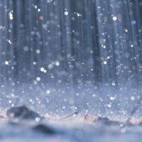 Rain Freedom Photo 2