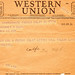 William Newcomb Photo 18
