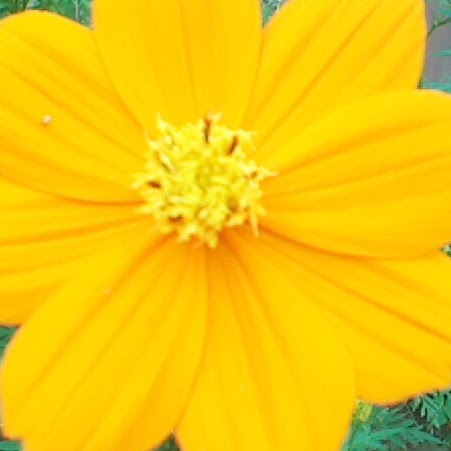 Gladys Paredes Photo 22
