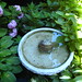 Linda Klein Photo 7