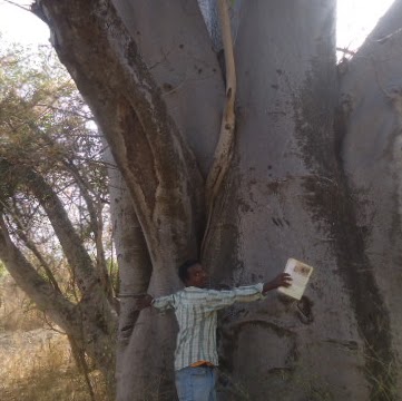 Yared Kebede Photo 11