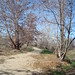 Julie Kern Photo 9