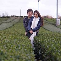 Yee Law Photo 14