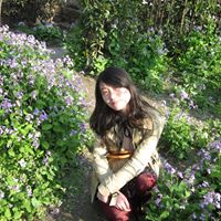 Shijie Chen Photo 8