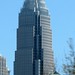 Charlotte Nation Photo 8