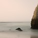 Misty Johnston Photo 8