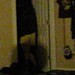 Megan Whitten Photo 5