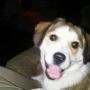Michelle Rusk Photo 19