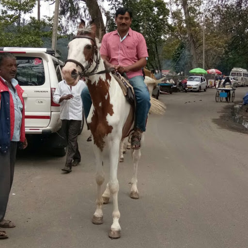 Ganesh Rajagopal Photo 16