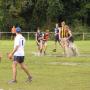 David Collings Photo 32