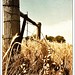 Jason Wheat Photo 9