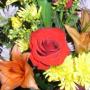 Edna Rogers Photo 25
