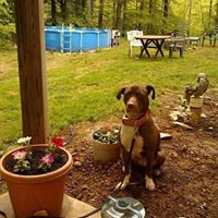 Tammy Kirtley Photo 3