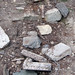 Kelly Drier Photo 9