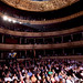 Daniel Guillot Photo 7