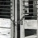 Dorothy Abbott Photo 6