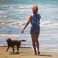 Diane Steinberg Photo 9