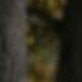 Paul Mackie Photo 37