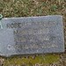 Robert Miles Photo 16