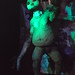 Cassandra Fly Photo 8