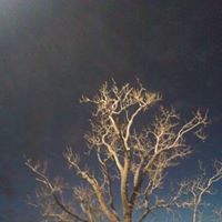 Timothy Wayne Photo 35