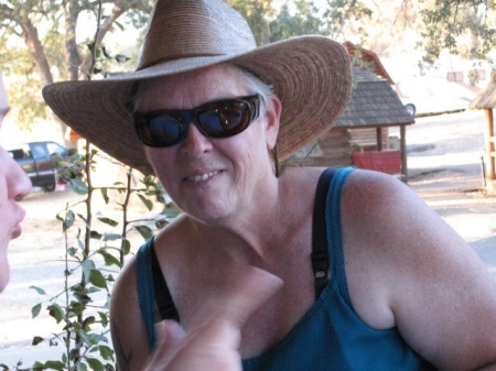 Sandra Cook Photo 15