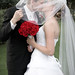 Jonathan Koop Photo 11