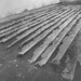 Douglas Crimp Photo 4