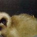 Tom Seymore Photo 7