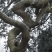 Hans Hildebrand Photo 8